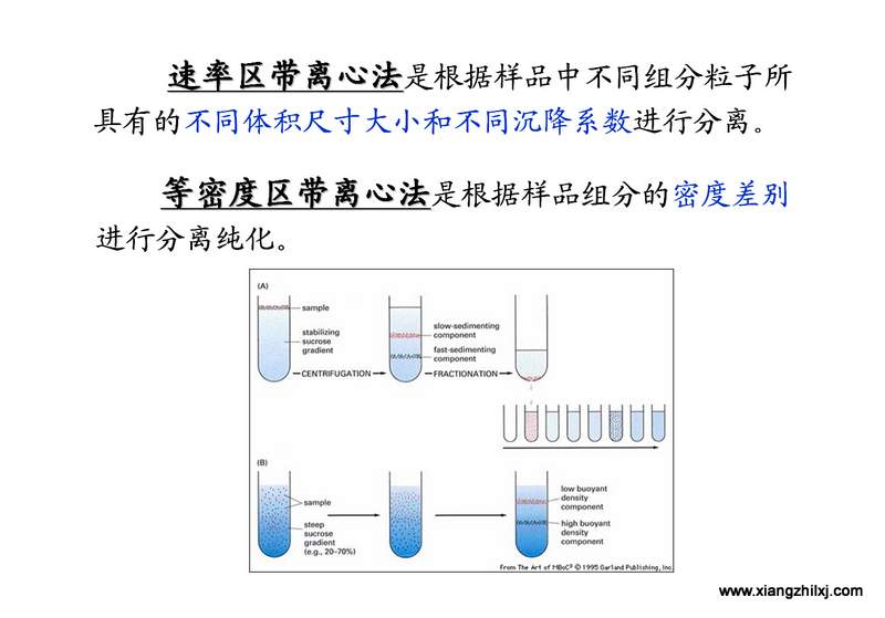 離心機(jī)知識(shí)圖解大全